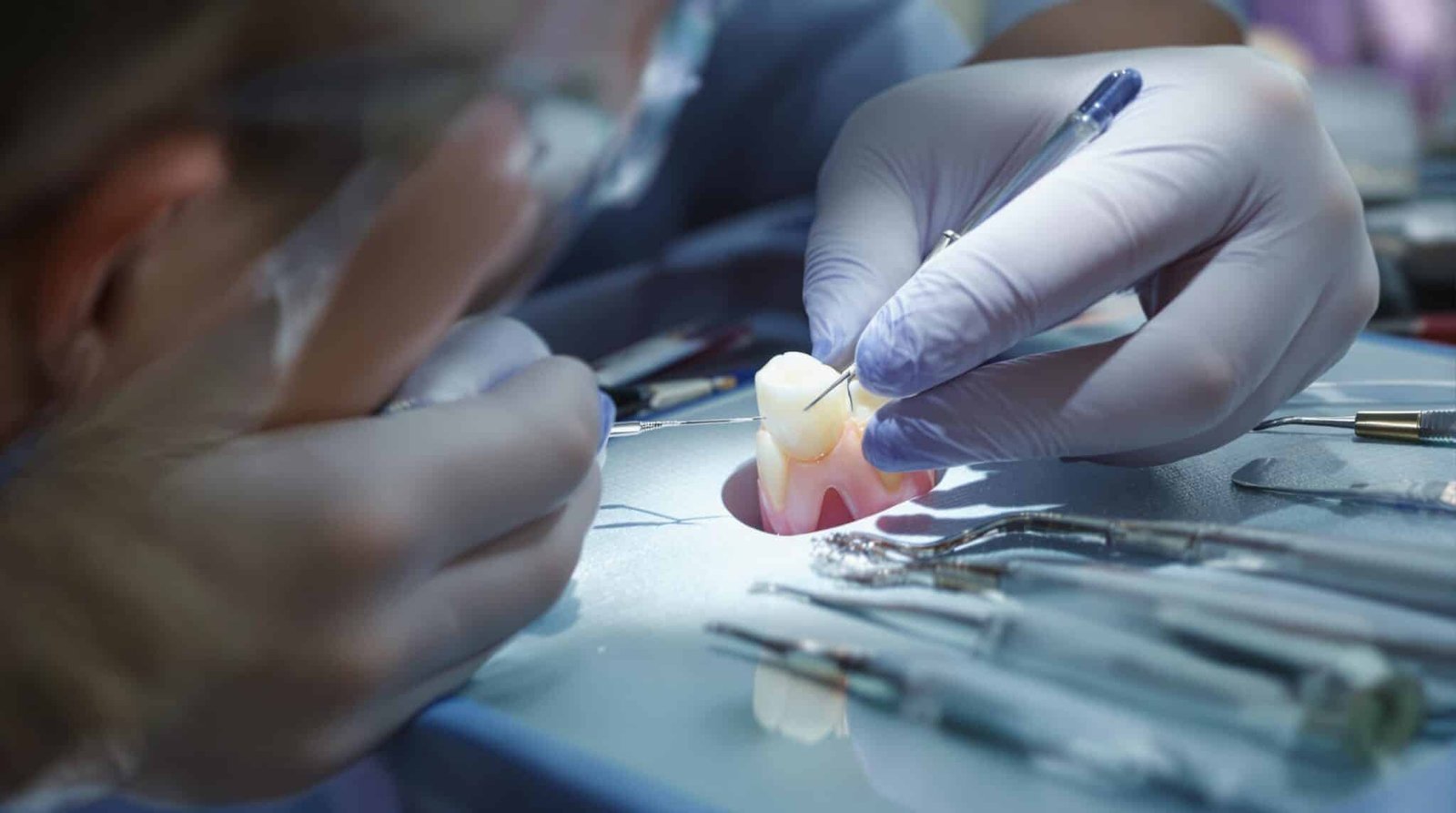 Dentist working on a tooth model